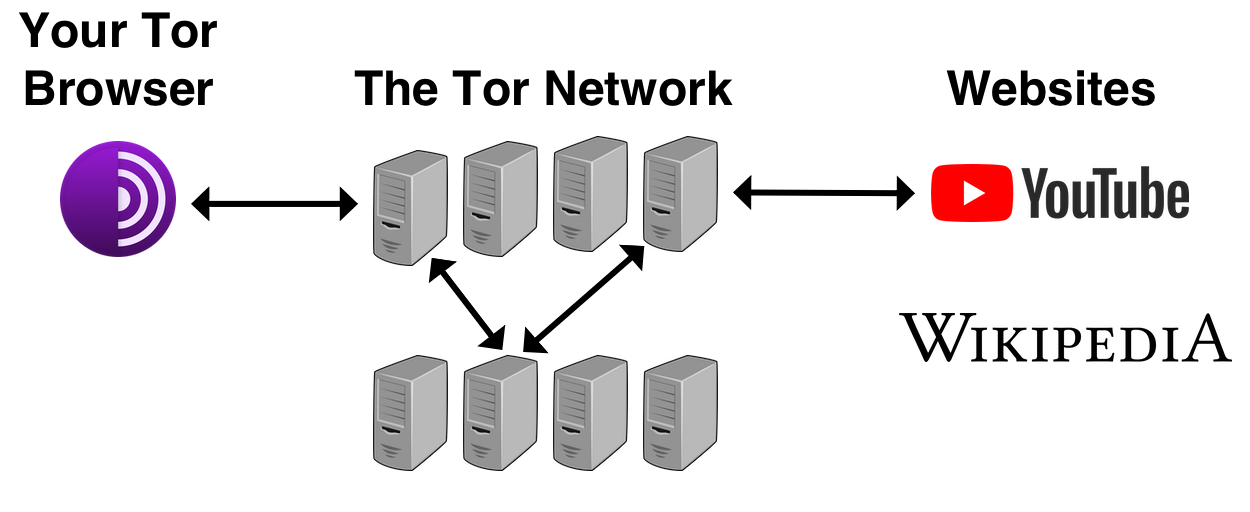 Traffic passes from your Tor Browser to into the Tor Network. Within the Tor Network, traffic is passed between three different nodes. Then, traffic exits the Tor Network and travels to the website being visited (e.g., YouTube or Wikipedia).